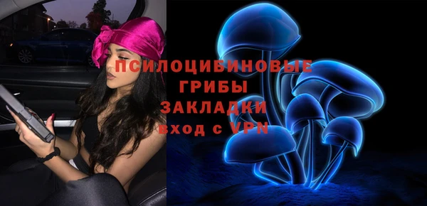 прущие грибы Вязьма