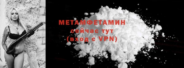 прущие грибы Вязьма