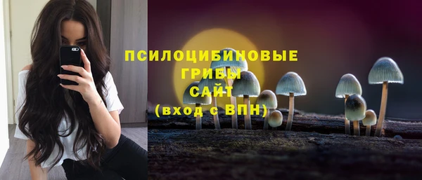мет Вяземский