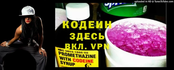 прущие грибы Вязьма