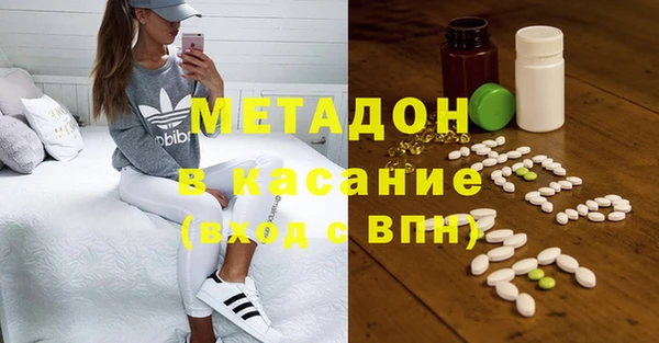 прущие грибы Вязьма