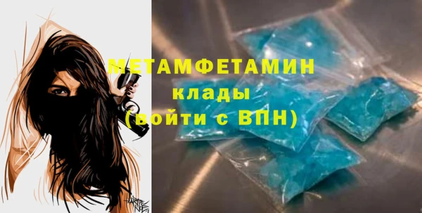 прущие грибы Вязьма